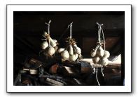 particolarecipolle